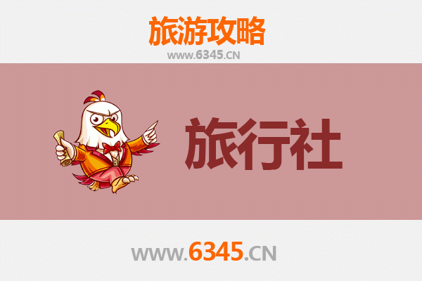 东方八所镇旅行社全攻略：本地人推荐的靠谱选择与行程指南