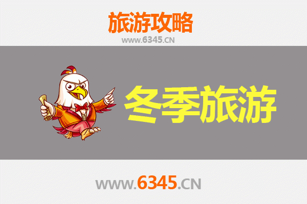东方八所镇冬季旅游攻略：暖阳下的渔港风情与文化探秘
